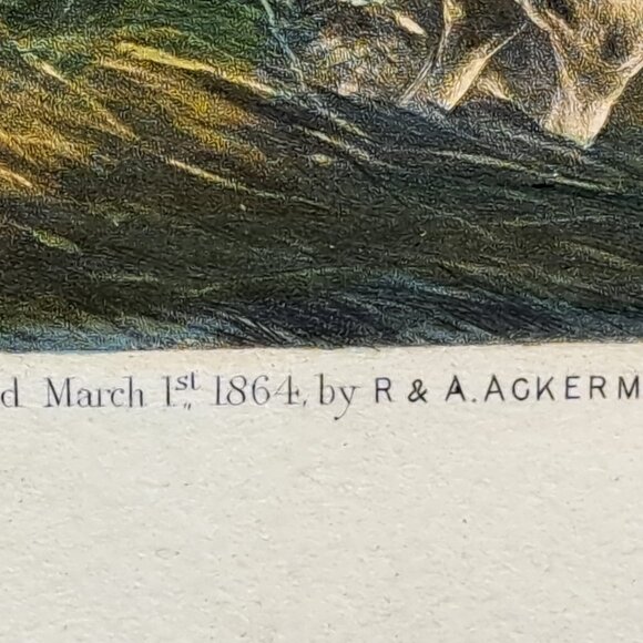 Drawing Cover 19th Century Print By William Shayer/J. Harris III - Picture 5 of 10